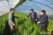 ‘최강 한파 대응’ 서천군농기센터, 농작물 현장대응반 가동