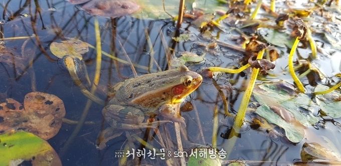 사진제공=국립생태원