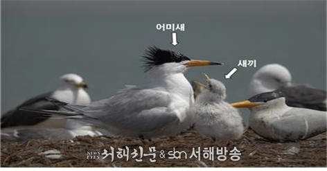 사진제공=국립생태원