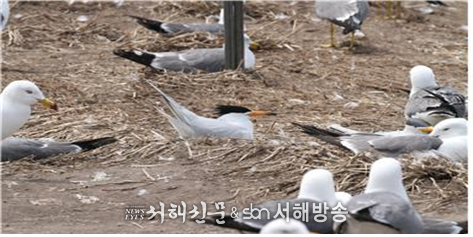 사진제공=국립생태원