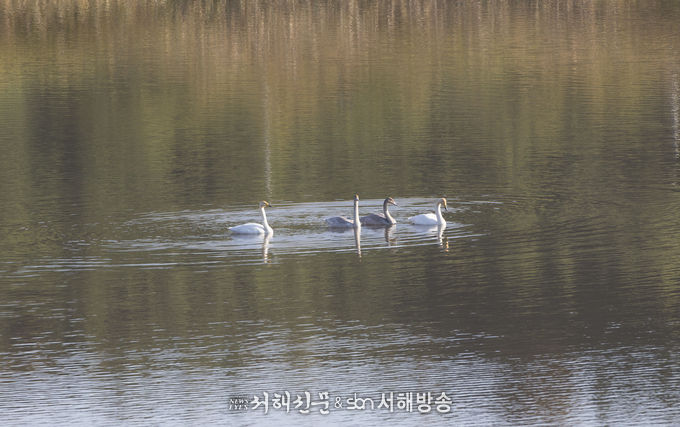 사진제공=국립생태원