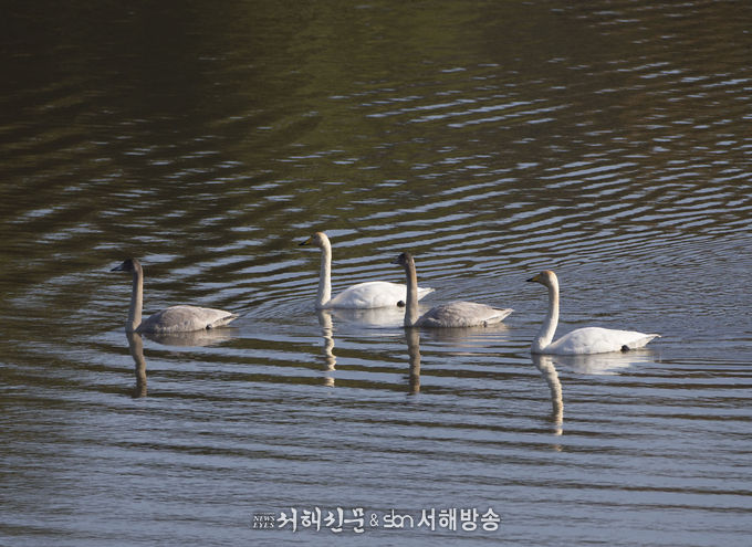 사진제공=국립생태원