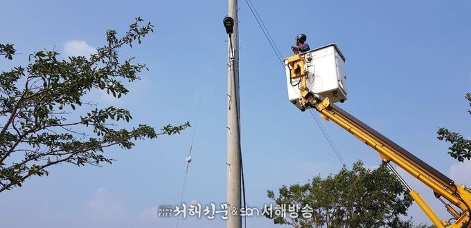 신송리 판교천 인근 산책로 스마트 보안등