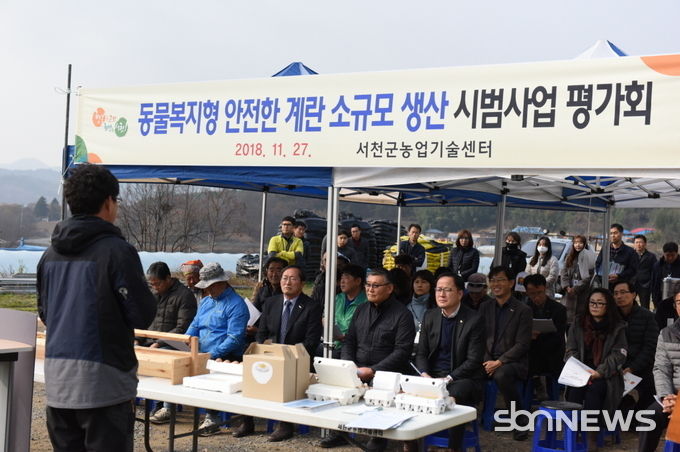 동물복지형 안전한 계란 소규모 생산 시범사업 평가회