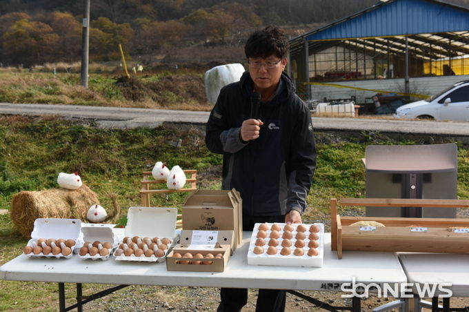동물복지형 안전한 계란 소규모 생산 시범사업 평가회