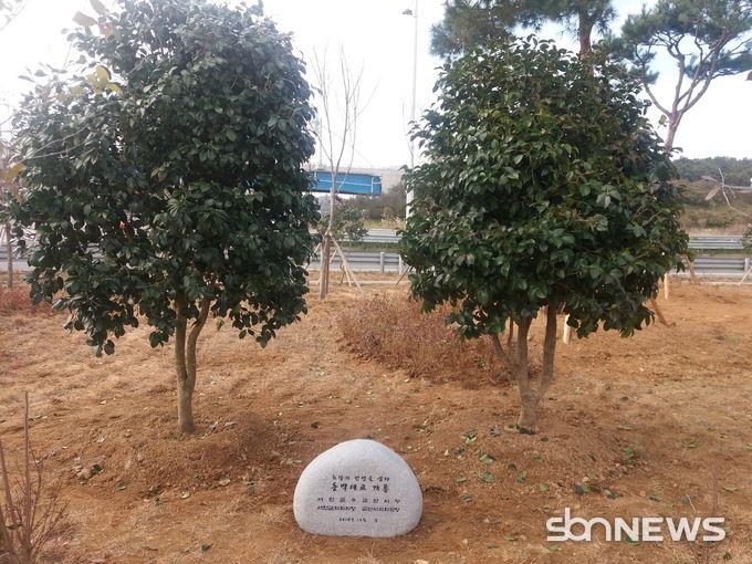 동백나무 기념식수 행사