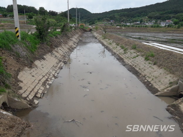마산면 여사천 퇴적토 및 수풀 제고로 통수단면 확보