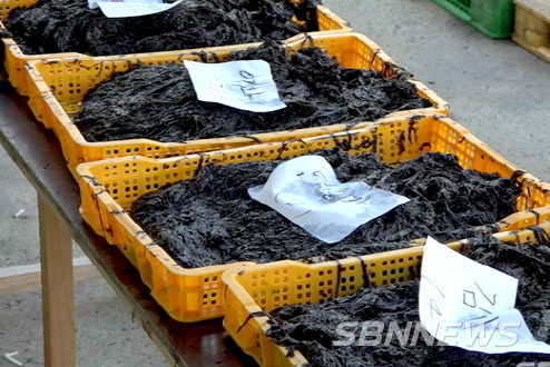 폭락한 서천 김가격