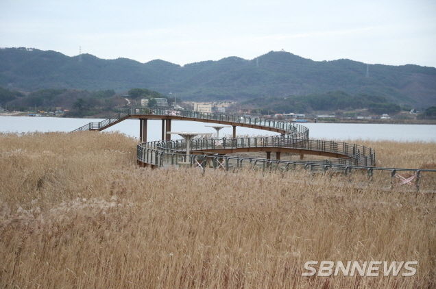 신성리갈대밭, 스카이워크 설치