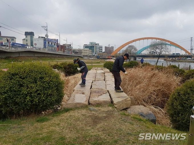 유충구제제 투척 (사진제공=보령시청)