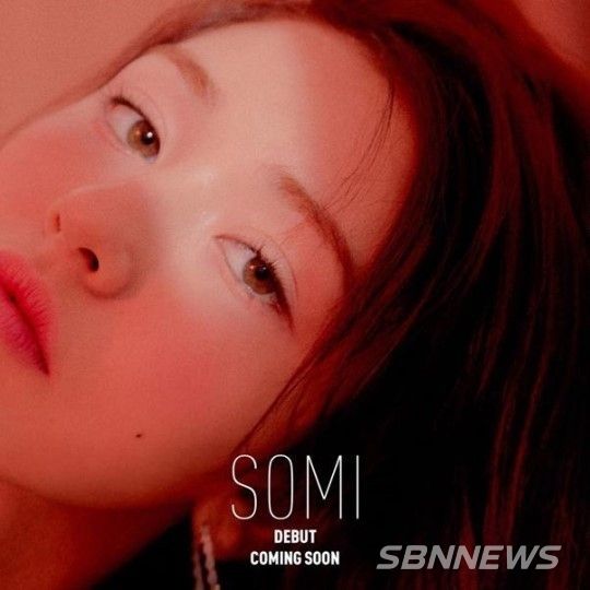 소미 SNS