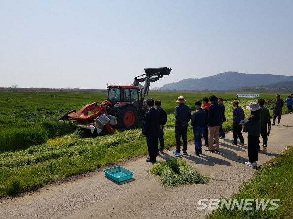 동계 사료작물 수확 연시회 (사진제공 = 보령시청)