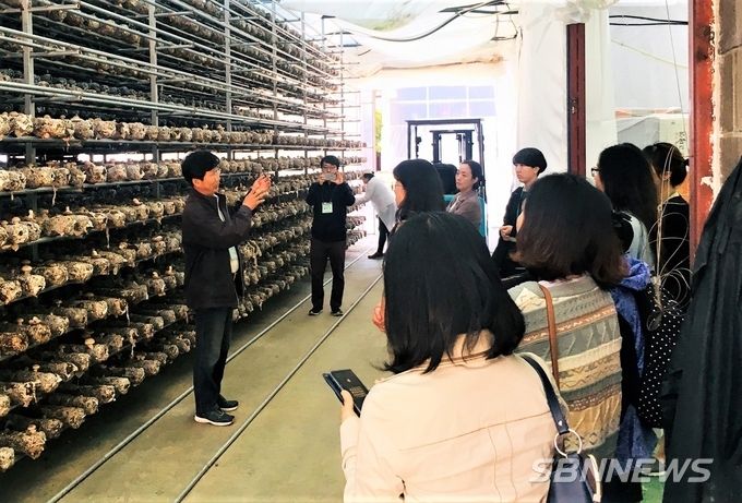 서산시 학부모 건강 먹거리 지킴이단이 인지면 소재 친환경 버섯농장에서 견학을 실시하는 모습