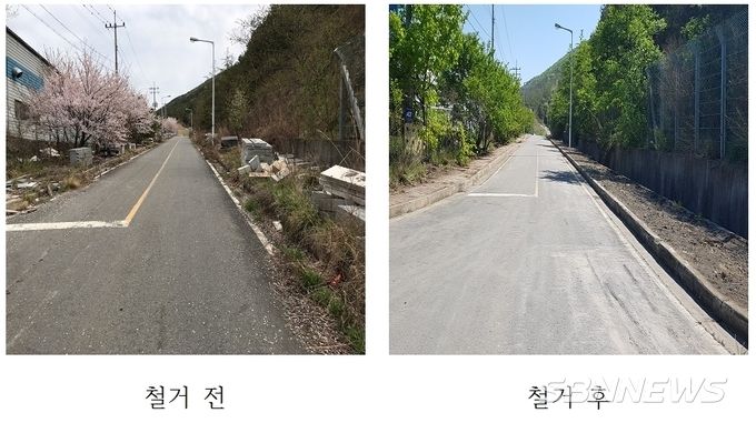 (사진=보령시청 제공)