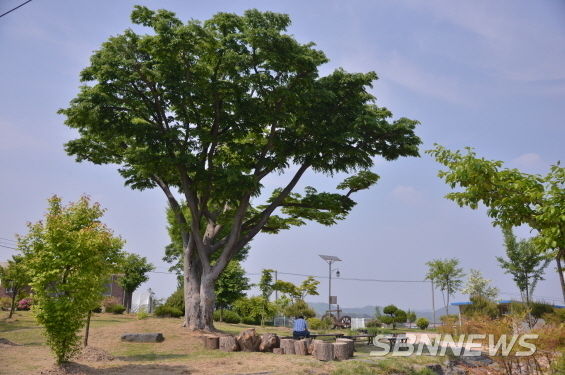 한산초등학교 숲 공간