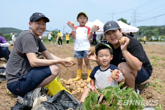 사진은 지난해 6월 열린 제17회 팔봉산 감자축제 사진들