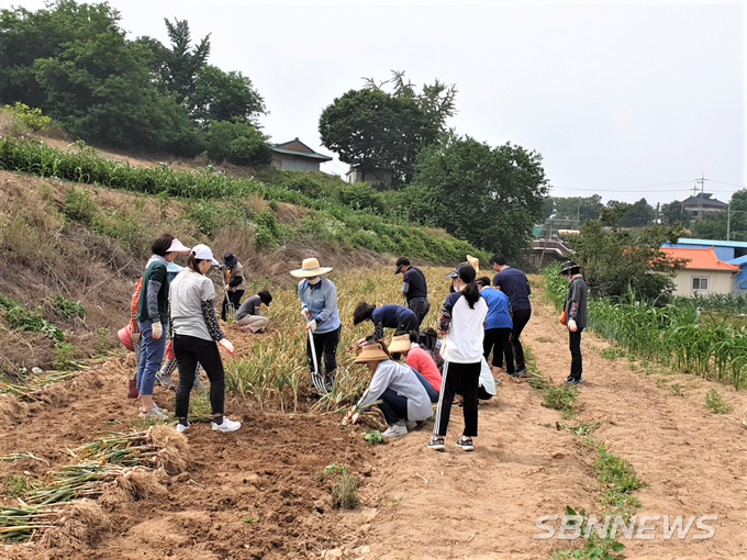 보건행정과 일손돕기