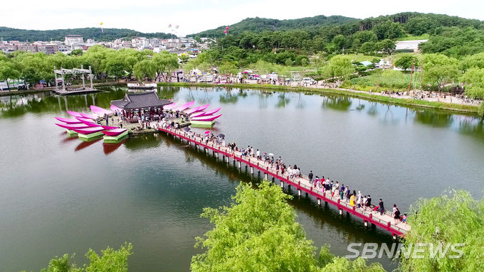 지난해 부여서동연꽃축제장. (사진=부여군청 제공)