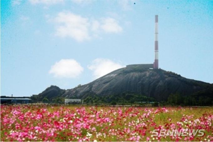 (사진=나무위키)