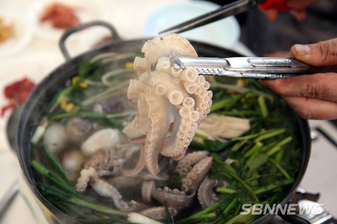 동백꽃·주꾸미 축제