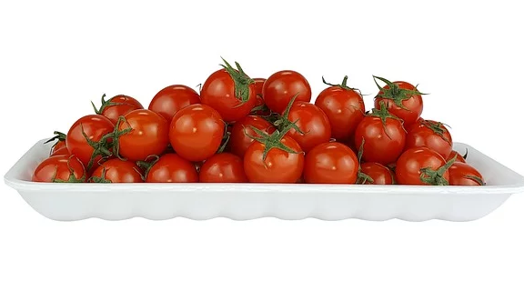 단마토 자료사진 기사와는 무관함