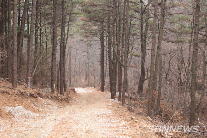 어리산 능선을 타고 오르는 등산로