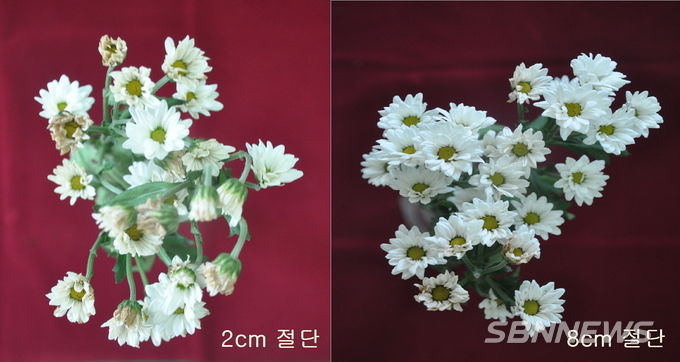 사진=충남도
