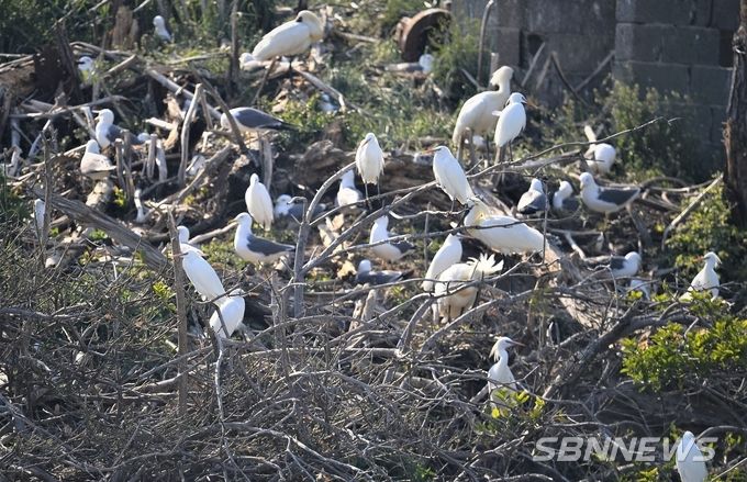 사진=서천지속협