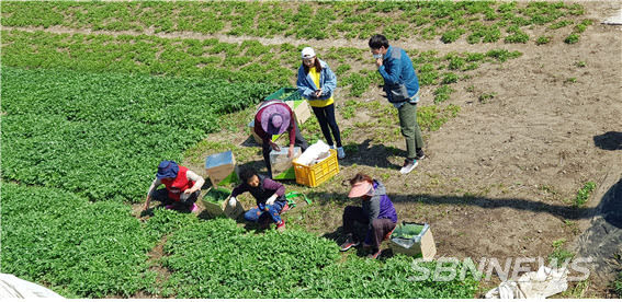 사진=청양군