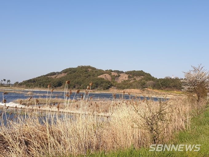 후망산 전경