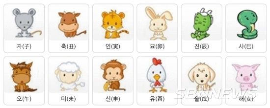 띠별 오늘의 운세