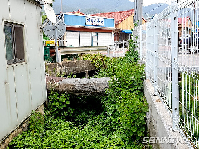 청석교.