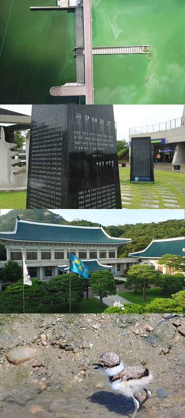 사진 : MBC