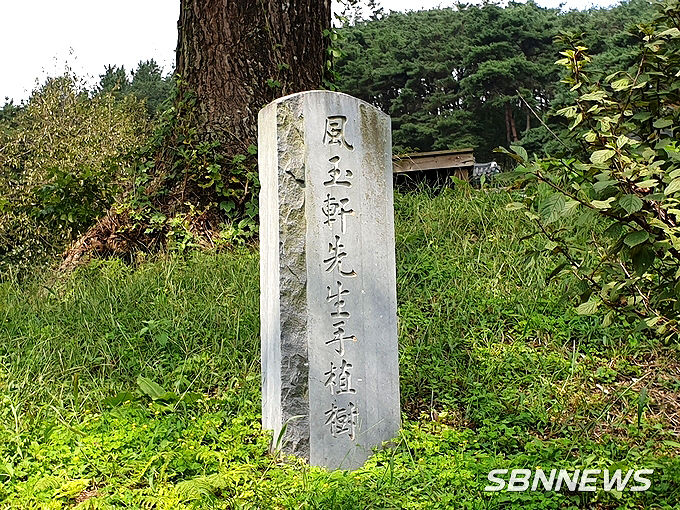 입구의 은행나무 표석