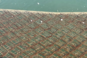 군, 김 황백화 피해 대응에 6억 원 긴급 투입 등 15일 충남 서천군 군정소식