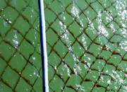 ‘김 황백화 비상’… 김기웅 서천군수, 현장서 진두지휘 등 지원책 주문