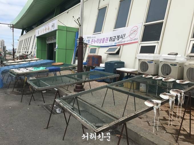 수산물 위생건조장 대신 상인들이 사용하고 있는 건조대