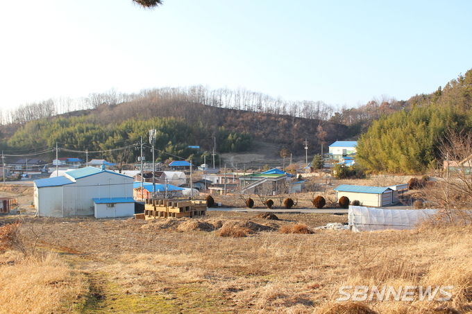묘소에서 바라본 활동리 전경 