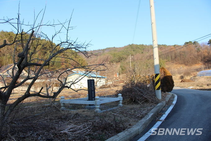 생가지에서 바라본 어성산. 선생은 이 산을 넘어 한산보통학교에 다녔다. 