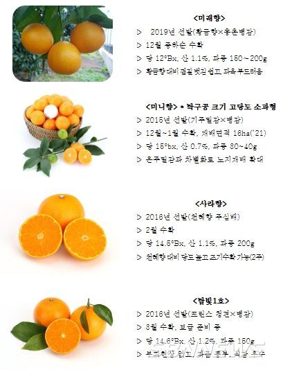 국내육성 품종