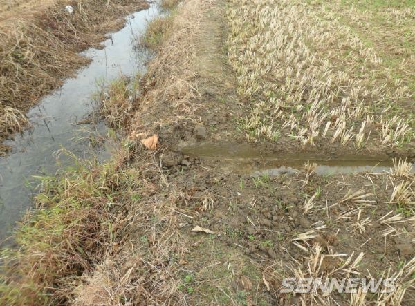 배수로와 배수구 연결 상태 미흡