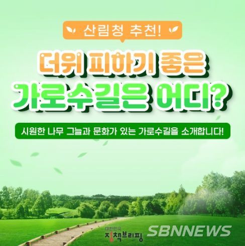 더위 피하기 딱 좋은 가로수길