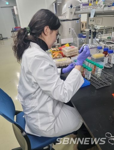 성수식품 검사 모습