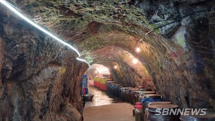 광천토굴새우젓