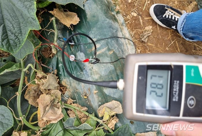 천안시농업기술센터가 1일 ‘영농현장 지도의 날’을 맞아 현장진단을 하고 있다.