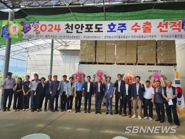 천안 ‘하늘그린 거봉포도’ 호주 수출길 올랐다